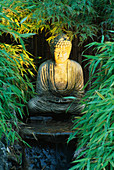 Beleuchteter Steinbuddha