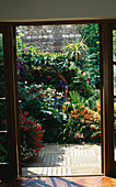 Blick durch die Hintertür (Fenstertüren) in den Hofgarten mit Holzterrasse und Holzpergola, umgeben von Fuchsien, Crocosmia und japanischen Anemonen