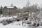 Tea house in snowy garden, beds with perennials and apple tree (Malus)