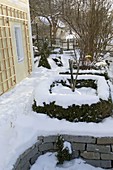 Snowy beds with Buxus (box hedges)