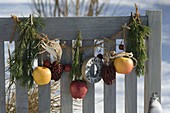 Birdseed hung on coconut string