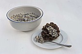 Pine cones filled with birdseed