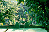 Frühmorgendliches Licht fällt auf den alten Brunnenkopf im ummauerten Garten, der mit Verbascum chiaxii 'Alba', Digitalis ferruginea und Verbascum 'Helen Johnson' bepflanzt ist