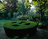 Box TOPIARY Circle at THE White HOUSE, Sussex, BACKED by Blue BORDER with CRETAN Pot AND DELPHINIUMS