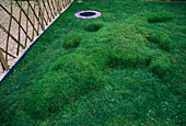 Minitrampolin im Gras neben dem Rasenkrokodil