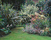 Garten mit Rasen, Stipa gigantea, Echinacea purpurea 'Magnus', Stachys lanata, Phormium tenax variegata, und Cornus alba elegantissima