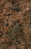 Grass Clippings Compost