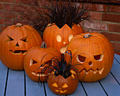Halloween: Pumpkin LANTERNS PLANTED with OPHIOPOGON PLANISCAPUS NIGRESCENS AND UNCINIA RUBRA