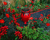 Der rote Garten mit schwarzem Glasschotter, rotem und schwarzem Topf mit Ophiopogon planiscapus 'Nigrescens', roten Lilien, Dahlie 'Bishop of Llandaff' und Achillea 'Fanal'.