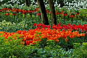 Tulipa AND Fritillaria IMPERIALIS at FLORIADE 2002, Holland