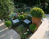 Kleiner Garten mit blauen Café-Stühlen, Buchsbaumkugeln in Terrakotta-Töpfen, hartem italienischen Kalksteinboden, Tulpen und Kies