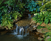 WATERFALL with HOSTAS AND FERNS. TATTON Park 2002, Designer: PAUL DYER