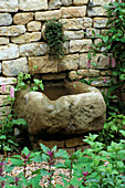 STONE TROUGH Water Feature Set INTO Dry STONE WALL IN THE Herb SOCIETY'S Garden, CHELSEA 2003. Garden DESIGNED by CHERYL Waller