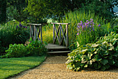 Oxford BOTANIC Garden: THE BOG Garden with IRISES AND WOODEN BRIDGE
