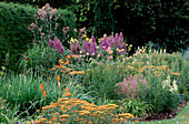 Hauptbeet im Sommer mit Delphinium 'Rosemary Brock', Achillea terracotta, Allium 'Purple Sensation', Centaurea pulcherrima 'Pulchra Major'