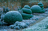 West Green HOUSE Garden, Hampshire: CLIPPED Box TOPIARY SHAPES IN THE ALICE IN WONDERLAND Garden IN Frost IN Winter