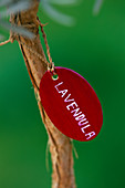 Designer: Clare MATTHEWS: Red PAINTED WOODEN LABEL with White WRITING Which SAYS Lavendula