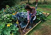 Projekt Gemüsetunnel: Mädchen hackt Gemüsegarten (Potager)