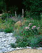 Garten mit Holzbank, Stipa tenuissima, Schiefer, Monarda 'Beauty of Cobham', Scabious columbaria 'Nana', Achillea 'Love Parade'