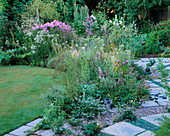 Pastel BORDER with PLANTED with Phlox, Achillea, SAGE AND ALLIUM. Designer : DAVID CHASE