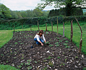 Designer Clare MATTHEWS PLANTING WILDFLOWER BEDS IN Devon Garden