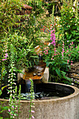Water Feature: RILL SPILLING INTO A CIRCULAR STONE BASIN with FOXGLOVES. WINGWELL NURSERY, Rutland