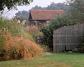 MISTY MORNING at MARCHANTS Hardy PLANTS, Sussex - STIPA ARUNDINACEA, MISCANTHUS SINENSIS STRICTUS with PLANT PAVILION Behind
