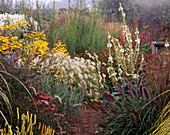 Nebliger Herbstmorgen, Pennisetum 'Black Beauty', Pennisetum Villosum, Helianthus Salicifolius, Verbascum, Rudbeckia Subtomentosa
