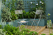 HAMPTON Court 2006 - Designer: ALAN Smith - A PLACE TO SIT: WOODEN Patio, TERRACE with Metal Café CHAIRS AND TABLE. Blue WALL , TRELLIS AND WOODEN RAISED BEDS