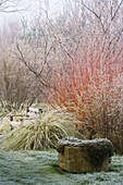 Winter: Frostiges Beet mit Holzbank, Steinbehälter und Weiden