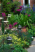 Bepflanzung an einem Weg neben dem Haus mit Laterne, Gladiolus communis byzantinus, Aconitum, Clematis 'Etoile Violette' und Warschauer Nike