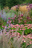 Neue Staudenrabatte mit Sedum 'Autumn Joy', Echinacea 'Rubinstern', Perovskia, Eupatorium purpureum, Calamagrostis 'Karl Foerster'