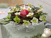 Tellerkranz aus Hartriegel -Zweigen und Fichte dekoriert mit Christrosen - Blüten