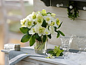 Bouquet of Helleborus niger (Christmas roses)