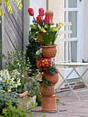 Pot tower in spring