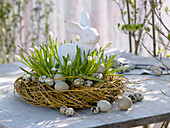 Muscari Azureum 'Album' (White Grape Hyacinths) in a wreath of Salix