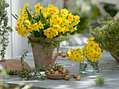 Bouquet of Narcissus 'Soleil D'Or' with Thymus citridorus