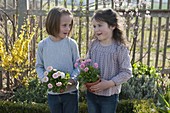 Girl with bellis (Tausendschön) in pots in the cottage garden