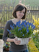 Woman holding basket with muscari (grape hyacinths)