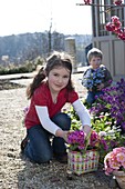 Mädchen nimmt Primula acaulis (Primel) aus Flechttasche