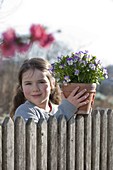 Girl behind the fence with Viola cornuta (horned violet) in a pot