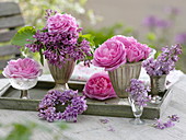 Duftarrangement aus Rosa 'Louise Odier' (Historischen Rosen) und Syringa