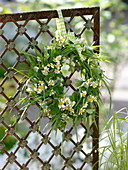 Wreath of camomile (Matricaria chamomilla), geranium (Stork's bill)