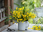 Ranunculus acer (Sharp buttercup) with grasses in old enamel pot