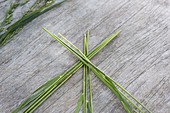 Braided heart of grasses with chamomile flowers