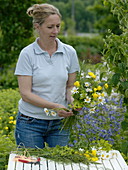 Yellow-white early summer bouquet with daisies (1/3)