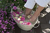 weiße Metallwanne mit Rosenblüten und Zitronenscheiben für ein Fußbad