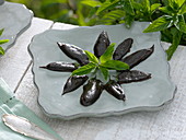 Chocolate dipped leaves of chocolate mint