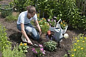 Young woman planting summer flowers in bed (3/4)