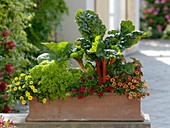 Terracotta box with vegetables and flowers